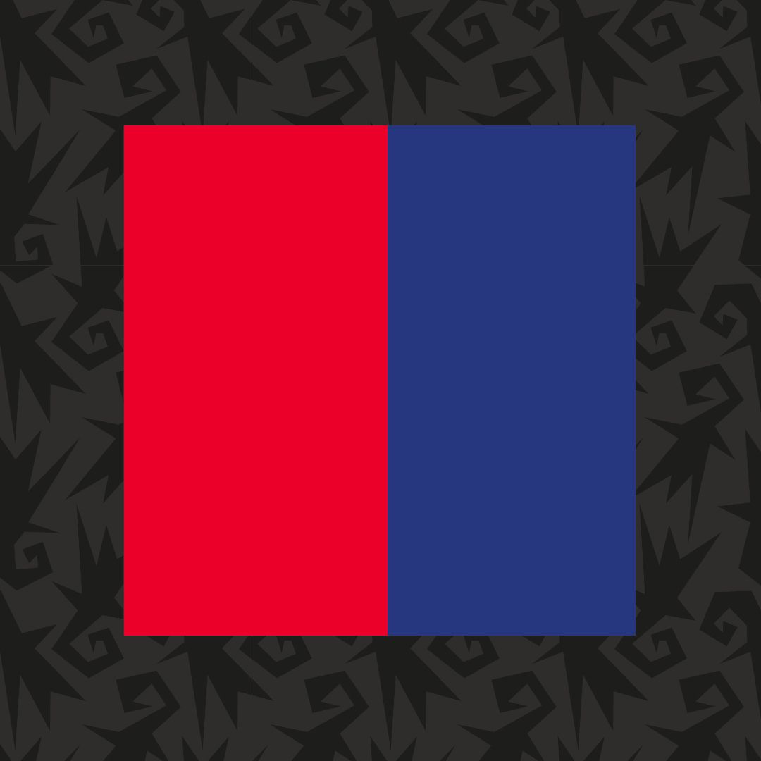 FC_Basel_1893_Trikot_34_24_02